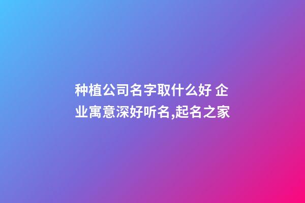 种植公司名字取什么好 企业寓意深好听名,起名之家-第1张-公司起名-玄机派